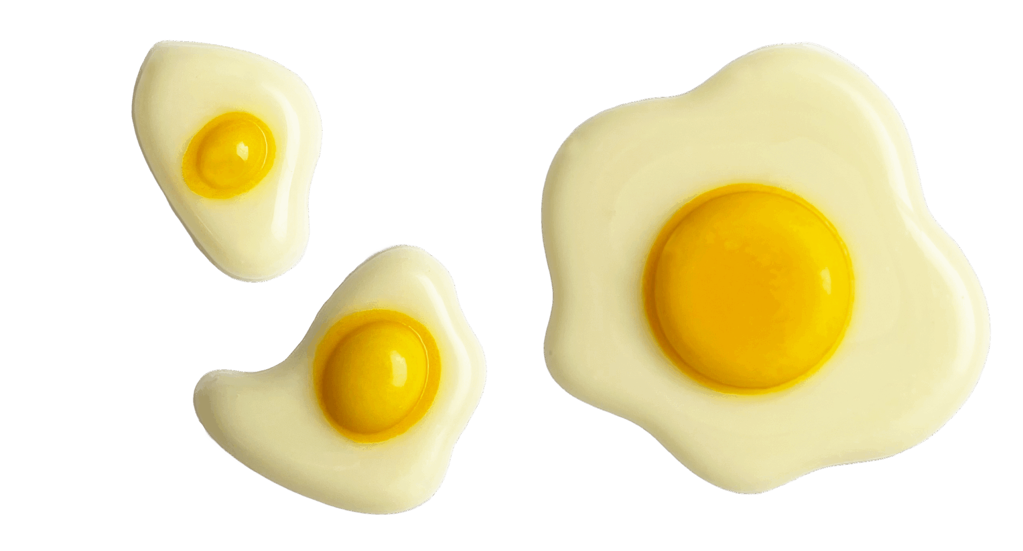 33813